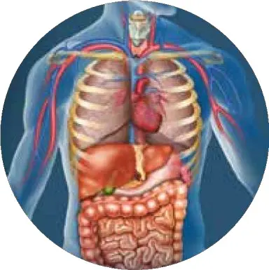 AO SCAN Features Summarized(d).pdf-image-028